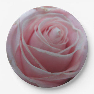 Mooie Roos Bloem Papieren Bordje