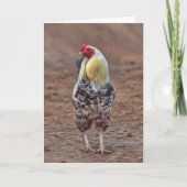 Mooie Rooster Chicken Art Note Kaart (Voorkant)