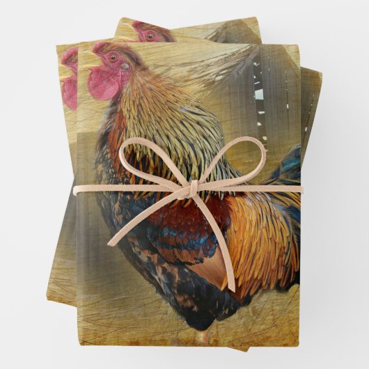 Mooie Rooster en Rustic Barn Chicken Coop Inpakpapier Vel (In situ)