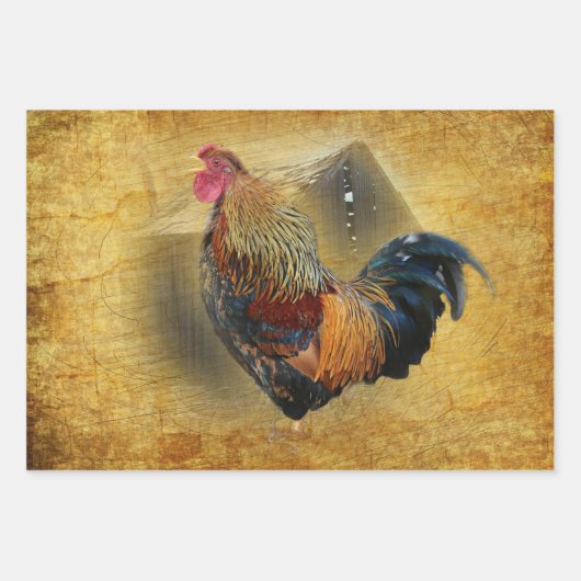 Mooie Rooster en Rustic Barn Chicken Coop Inpakpapier Vel (Voorkant)