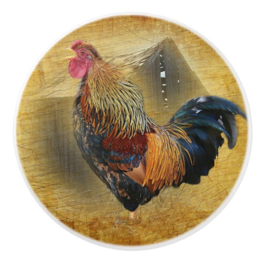 Mooie Rooster en Rustic Barn Chicken Coop Keramische Knop (Voorkant)