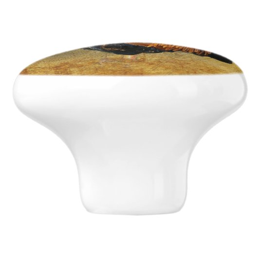 Mooie Rooster en Rustic Barn Chicken Coop Keramische Knop (Zijkant)