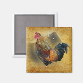 Mooie Rooster en Rustic Barn Chicken Coop Magneet (Voorkant / Achterkant)