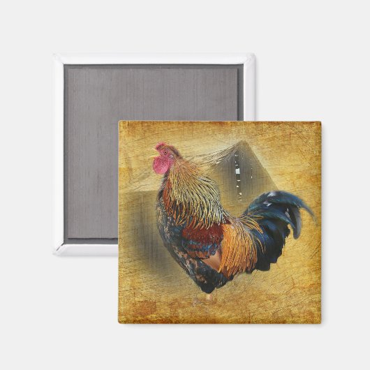 Mooie Rooster en Rustic Barn Chicken Coop Magneet (Voorkant / Achterkant)