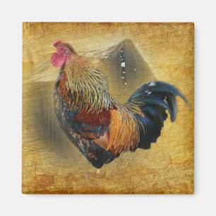 Mooie Rooster en Rustic Barn Chicken Coop Magneet