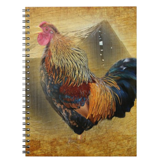 Mooie Rooster en Rustic Barn Chicken Coop Notitieboek (Voorkant)