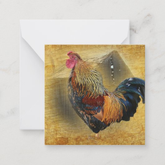 Mooie Rooster en Rustic Barn Chicken Coop Notitiekaartje (Voorkant)