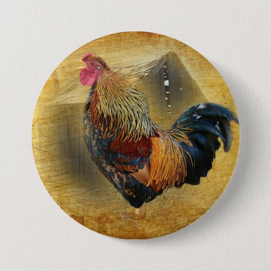Mooie Rooster en Rustic Barn Chicken Coop Ronde Button 7,6 Cm (Voorkant)