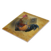 Mooie Rooster en Rustic Barn Chicken Coop Tegeltje (Zijkant)