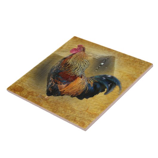 Mooie Rooster en Rustic Barn Chicken Coop Tegeltje (Zijkant)