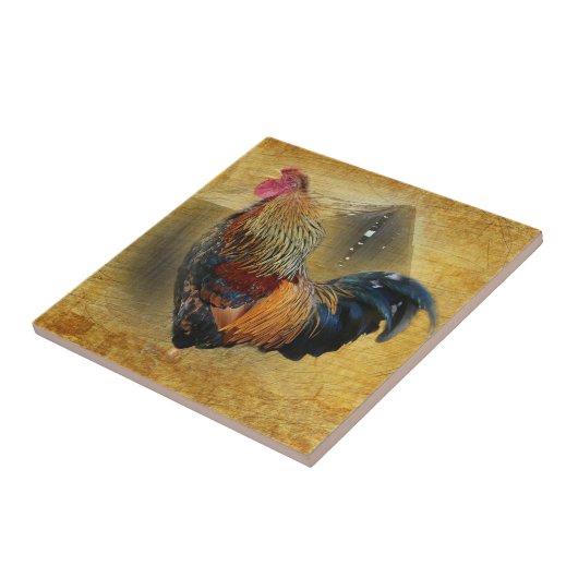 Mooie Rooster en Rustic Barn Chicken Coop Tegeltje (Zijkant)