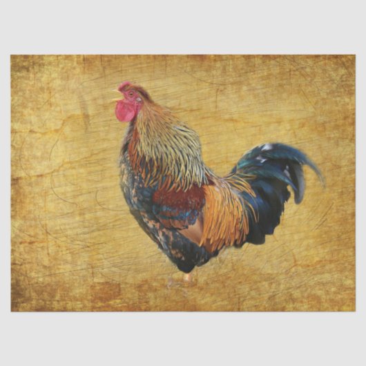 Mooie Rooster Tissuepapier (Voorkant)