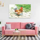 Mooie Rooster uit voor een Zomerwandeling Canvas Afdruk (Insitu (Woonkamer))