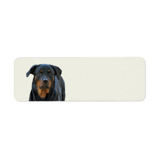 Mooie rottweiler-retouradreslabels etiket