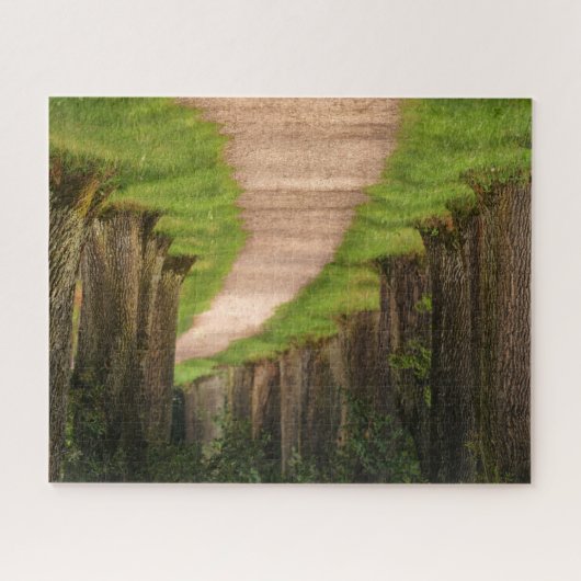 Mooie route door de bomen legpuzzel (Horizontaal)