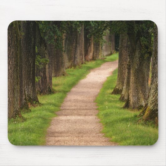 Mooie route door de bomen muismat (Voorkant)