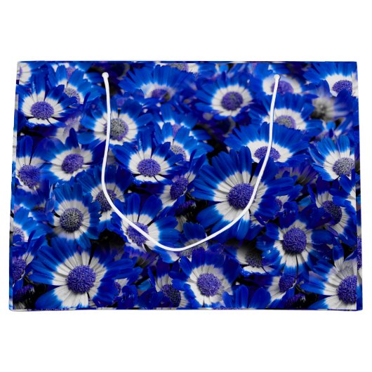Mooie Royal Blue Cineraria Flowers Groot Cadeauzakje (Voorkant)
