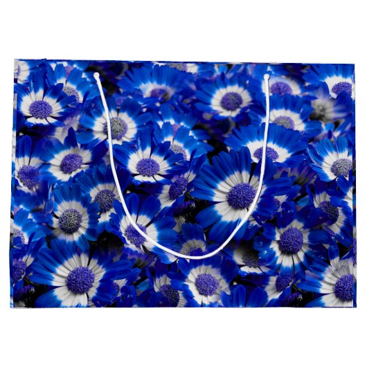 Mooie Royal Blue Cineraria Flowers Groot Cadeauzakje (Achterkant)