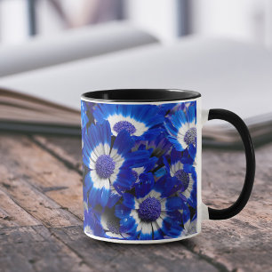 Mooie Royal Blue Cineraria Flowers Mok