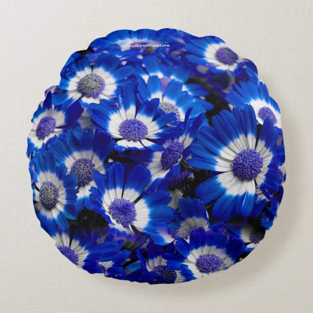 Mooie Royal Blue Cineraria Flowers Rond Kussen (Voorkant)