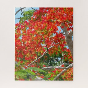 Mooie Royal Poinciana Tree Jigzaag Puzzle Legpuzzel