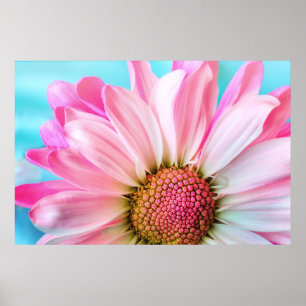 Mooie roze aanvalsfoto poster
