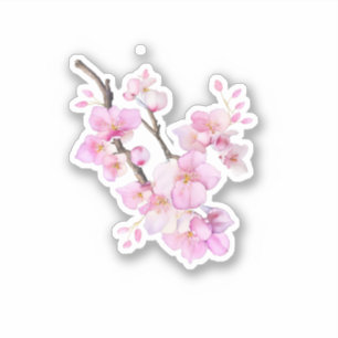 Mooie roze aquarel kersen Sakura bloesems Sticker