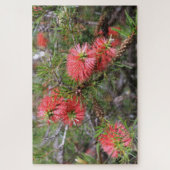 Mooie, roze Australische botborstel Legpuzzel (Verticaal)