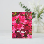 Mooie Roze Azalea Bloemen Hallo Kaarten 2 (Staand voorkant)
