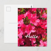 Mooie Roze Azalea Bloemen Hallo Kaarten 2 (Voorkant / Achterkant)
