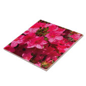 Mooie roze Azalea Bloemen Tegels Tegeltje (Zijkant)