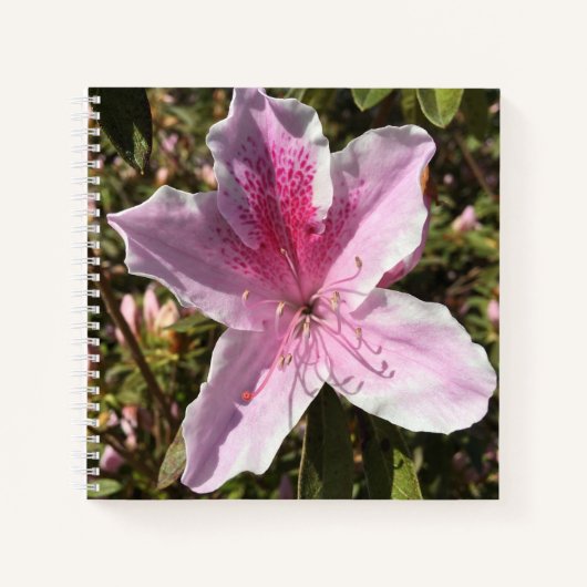 Mooie roze azalea notitieboek (Voorkant)