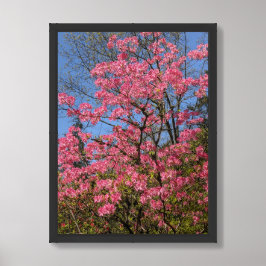 Mooie Roze Azalea's Bloemen Poster