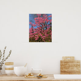 Mooie Roze Azalea's Bloemen Poster