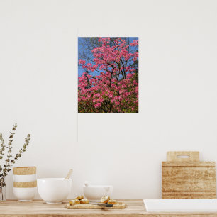Mooie Roze Azalea's Bloemen Poster