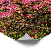 Mooie Roze Azalea's Bloemen Poster (Hoek)
