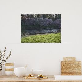 Mooie Roze Bloeiende Bomen Vijver Poster