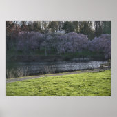 Mooie Roze Bloeiende Bomen Vijver Poster (Voorkant)