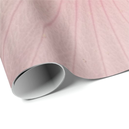 Mooie roze bloem close-up foto inpakpapier (Rol Hoek)