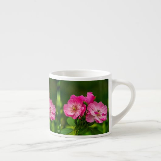 Mooie roze bloemen-6845 espresso kop (Rechts)