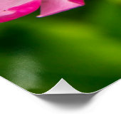 Mooie roze bloemen-6845 perfect poster (Hoek)