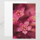 Mooie roze bloemen briefpapier (Voorkant / Achterkant)