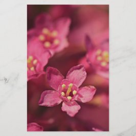 Mooie roze bloemen briefpapier