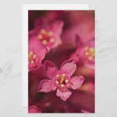 Mooie roze bloemen briefpapier (Voorkant / Achterkant)