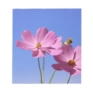 mooie roze bloemen die een heldere blauwe hemel om notitieblok