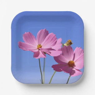 mooie roze bloemen die een heldere blauwe hemel om papieren bordje
