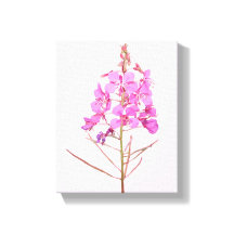 Mooie roze bloemen eenvoudige moderne bloemen bota