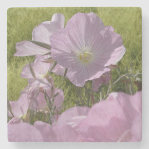 Mooie Roze Bloemen Foto Marmer Stenen Onderzetter