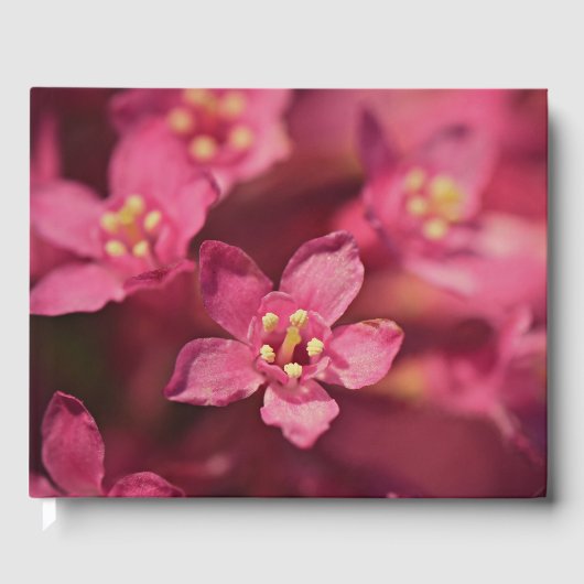 Mooie roze bloemen gastenboek (Voorkant)