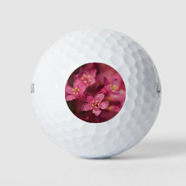 Mooie roze bloemen golfballen